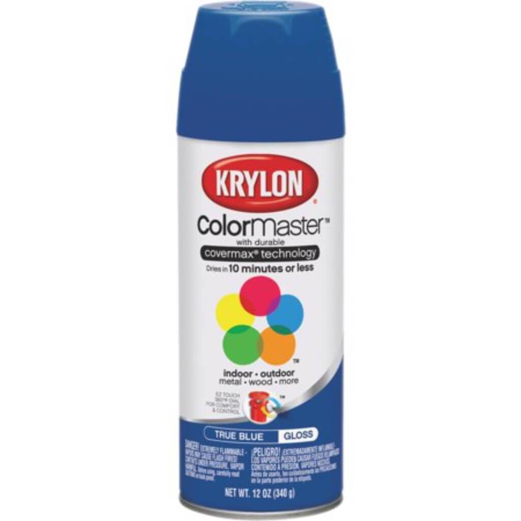 Paint & Primer Spray Paint Gloss 12oz