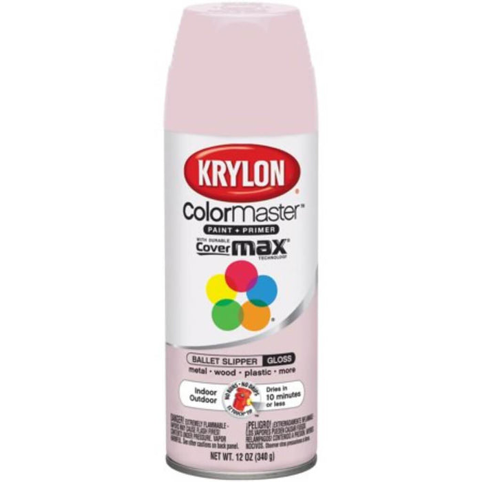 Paint & Primer Spray Paint Gloss 12oz