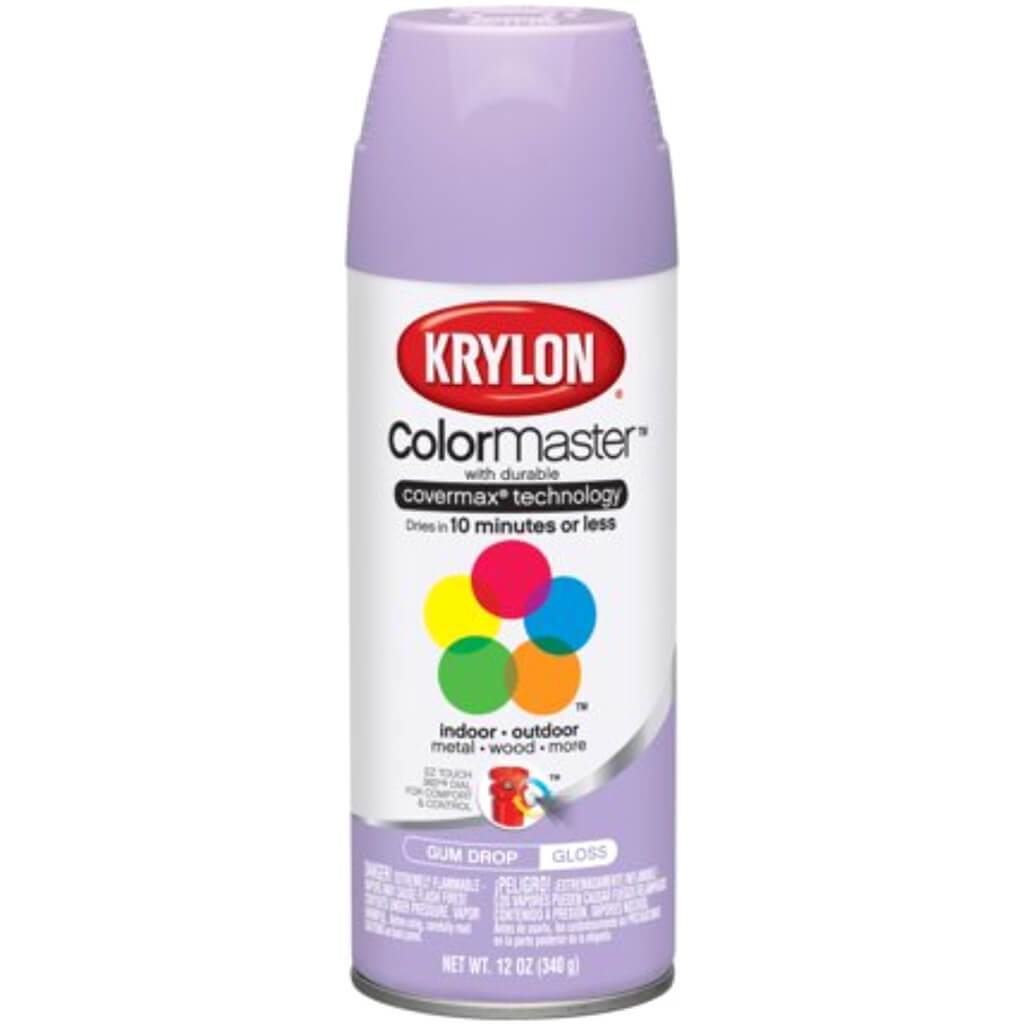 Paint &amp; Primer Spray Paint Gloss 12oz