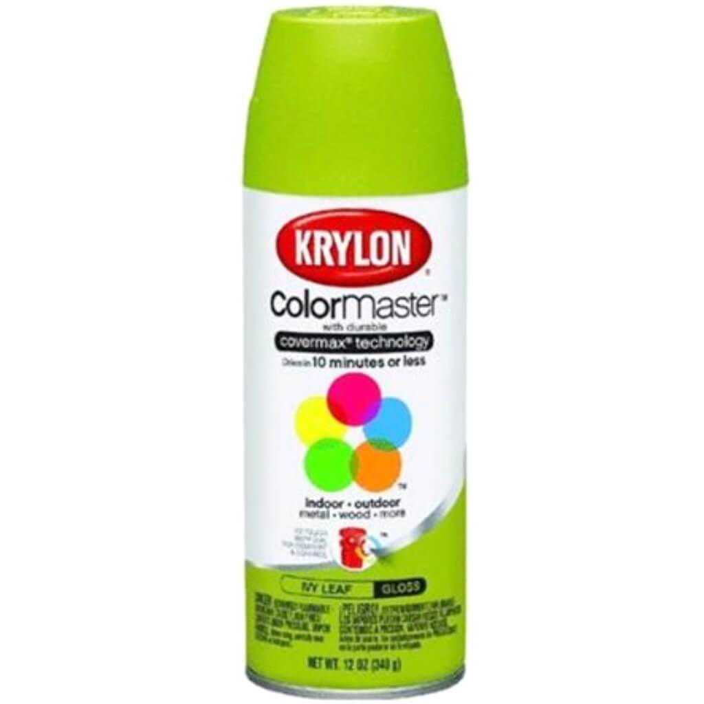 Paint &amp; Primer Spray Paint Gloss 12oz