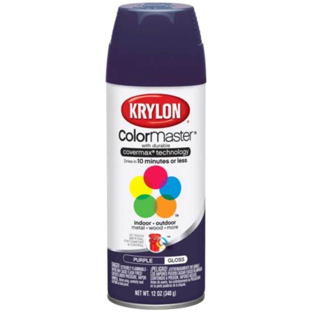 Spray Paint 12oz Purple