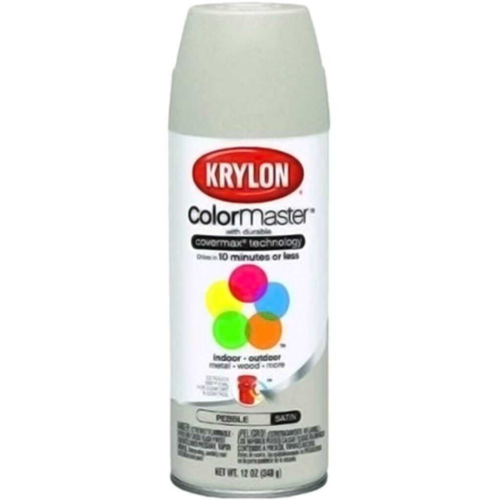 Paint & Primer Spray Paint Satin 12oz