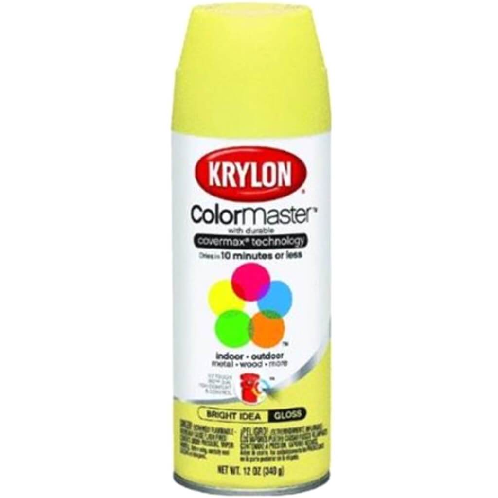 Paint &amp; Primer Spray Paint Gloss 12oz