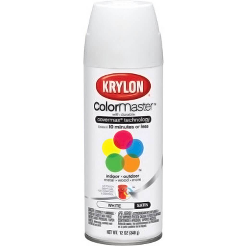 Paint &amp; Primer Spray Paint Satin 12oz