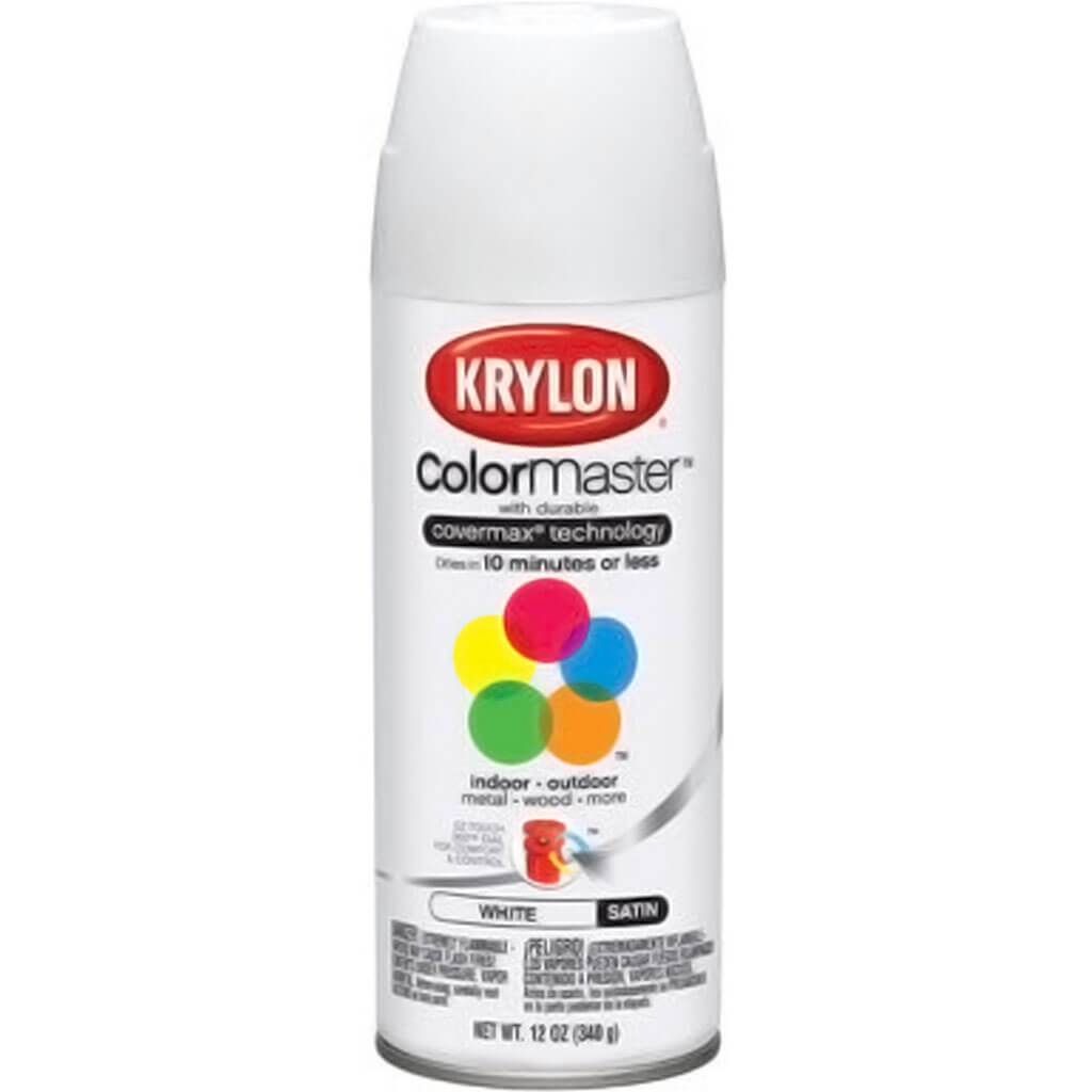 Paint & Primer Spray Paint Satin 12oz