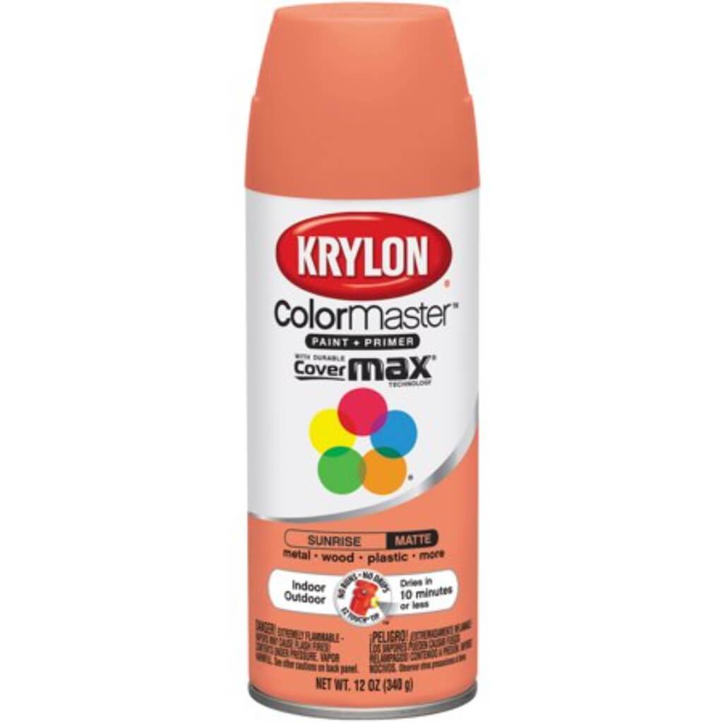 Paint &amp; Primer Spray Paint Matte 12oz