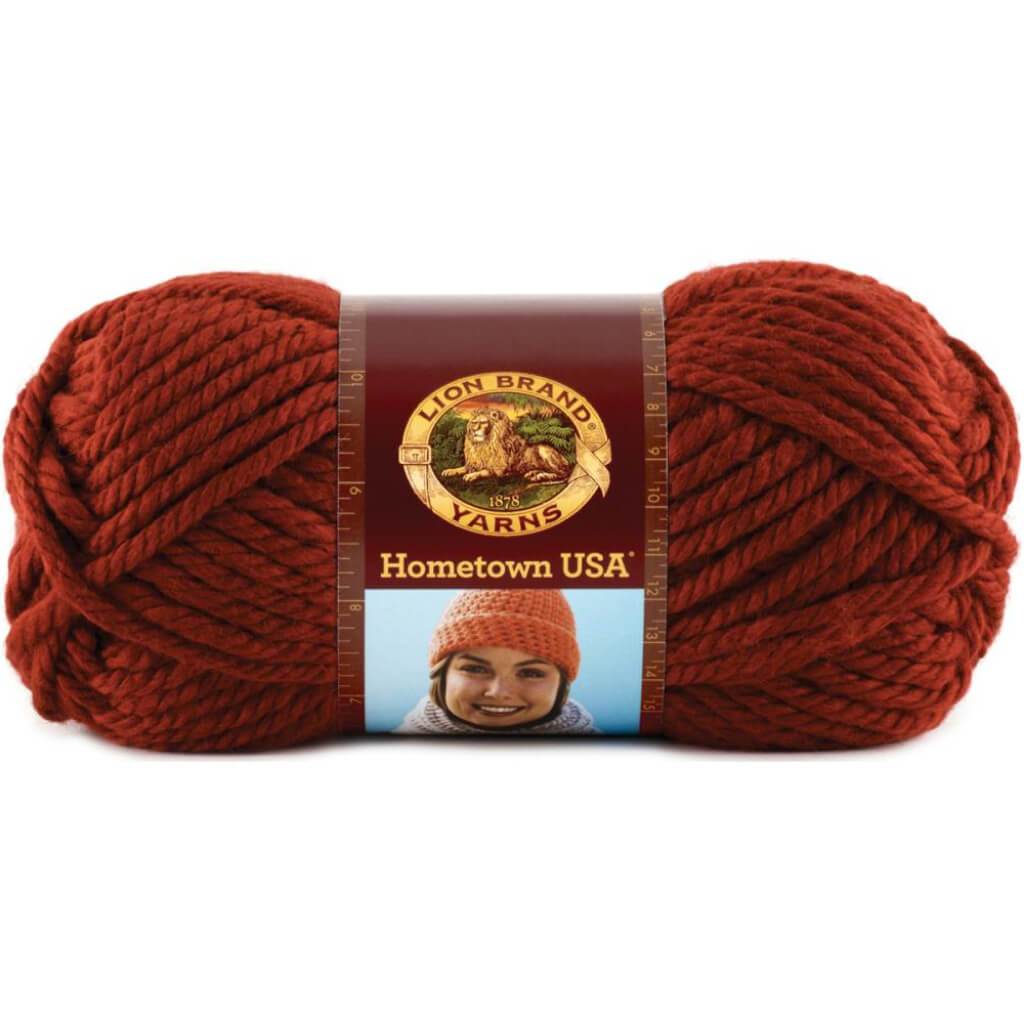 Lion Brand Hometown Yarn Tampa Spice