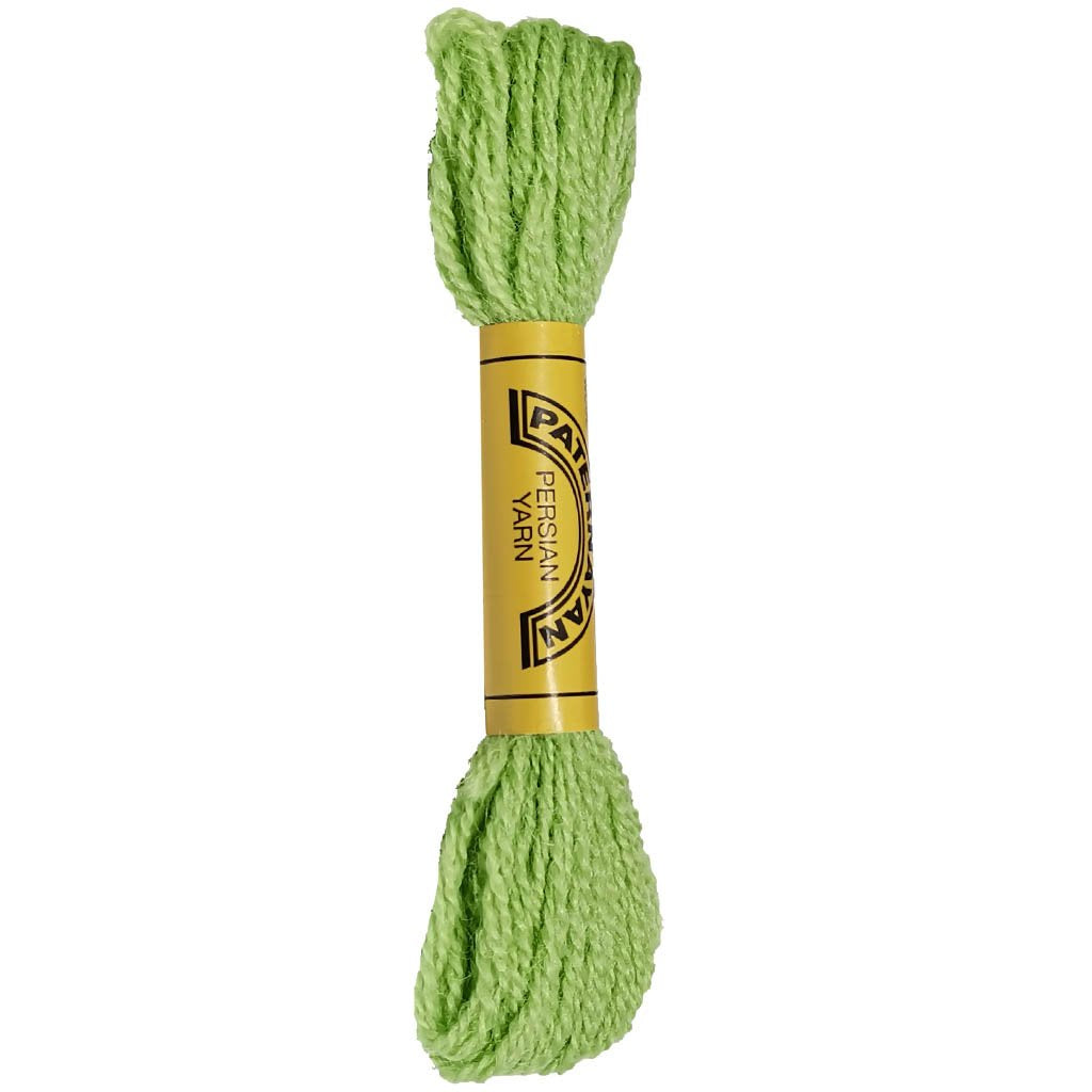 Paternayan Persian Yarn 8yd Hunter Green No.613