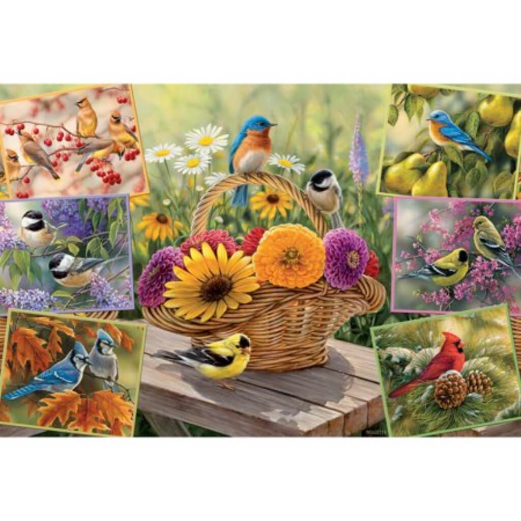 Jigsaw Puzzle 40in x 27in Rosemary&#39;s Birds 2000pcs