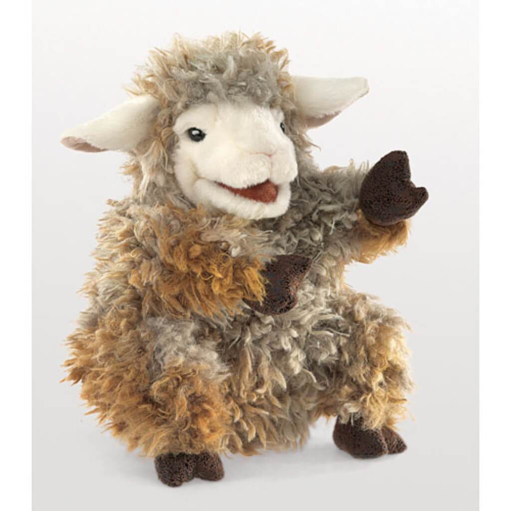 Woolly Lamb 