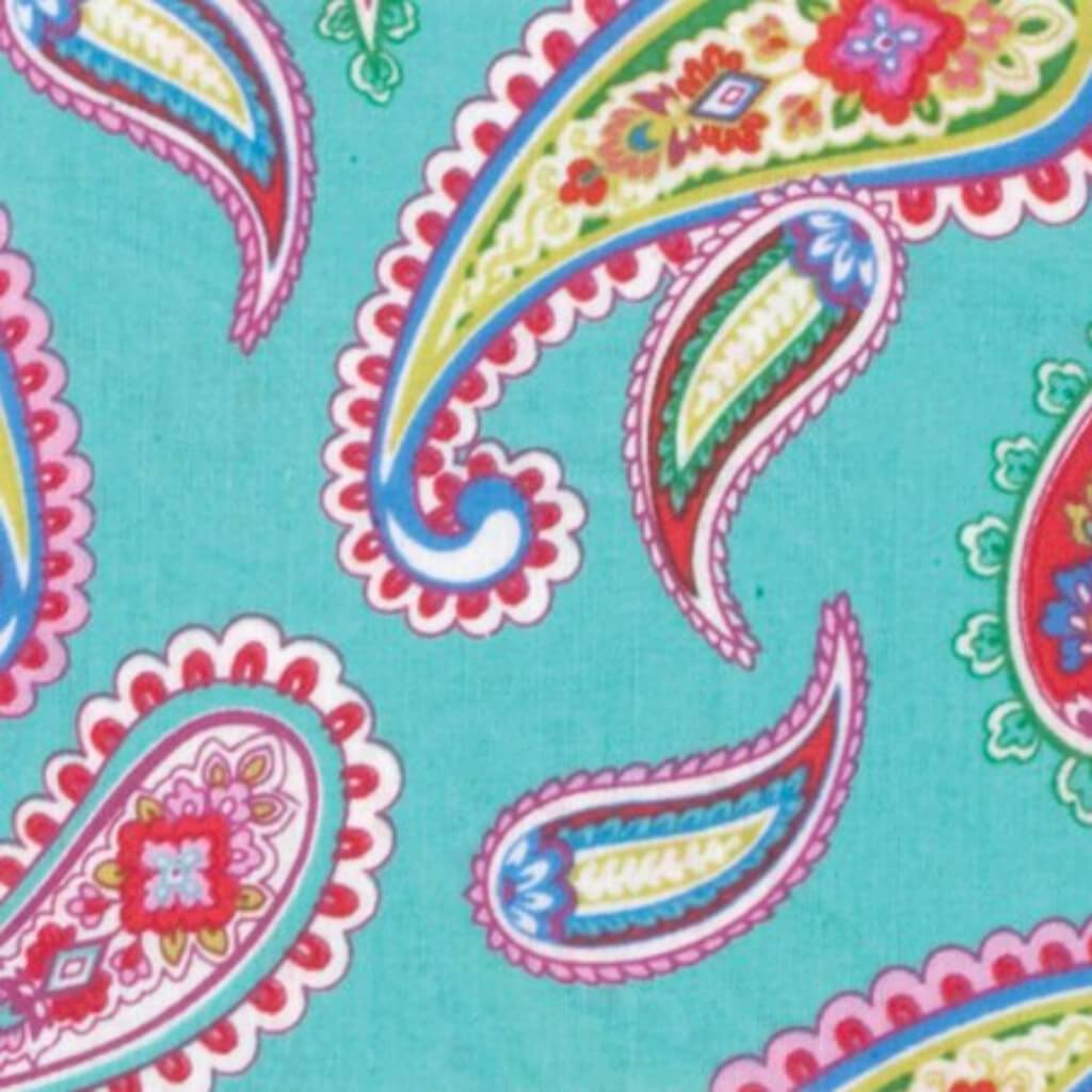 Fabric Palette Precuts 18in x 21in Punch of Paisley D