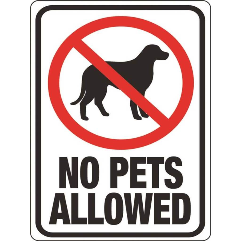 NO PETS ALLOWED 