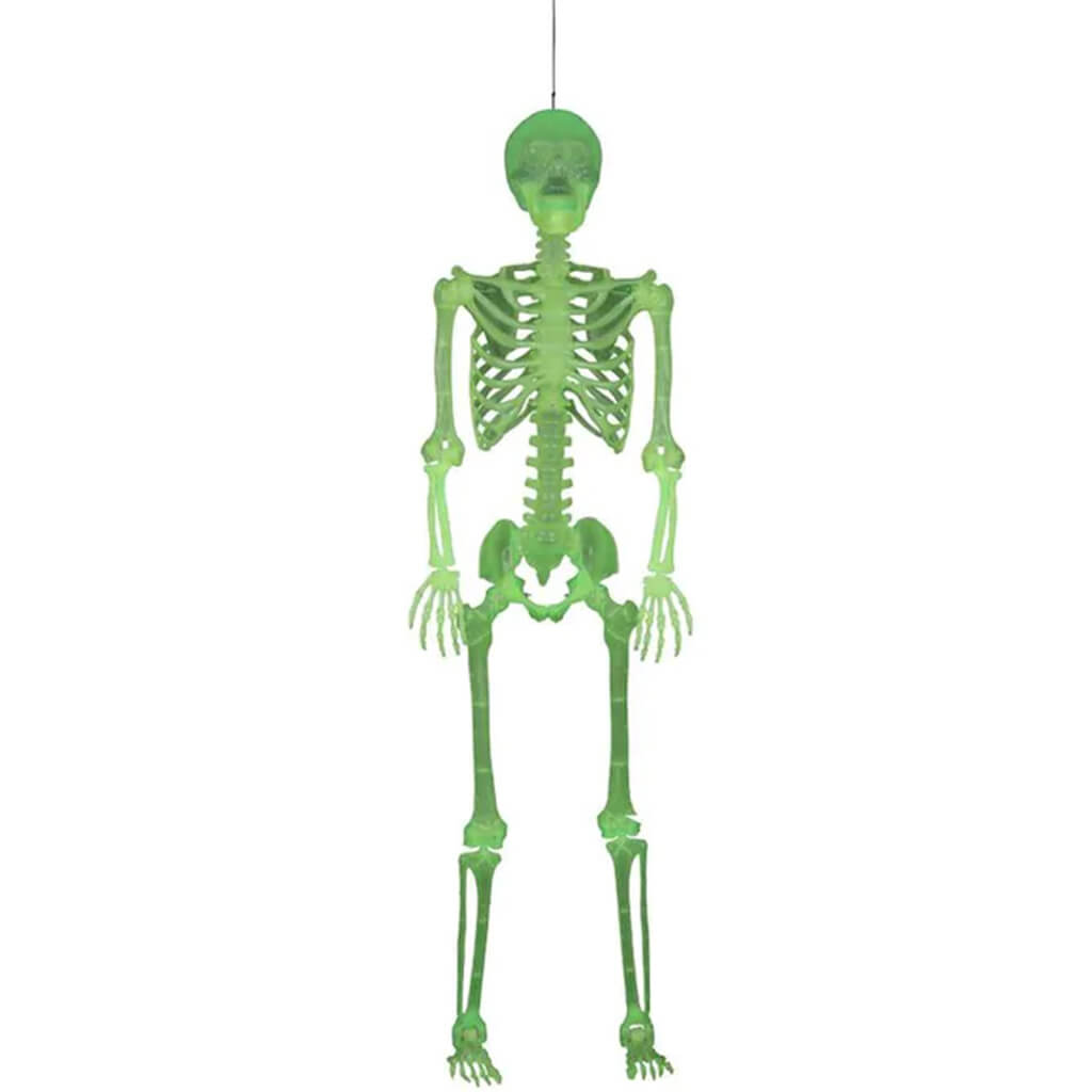 Glow in the Dark 5ft Laboratory Skeleton