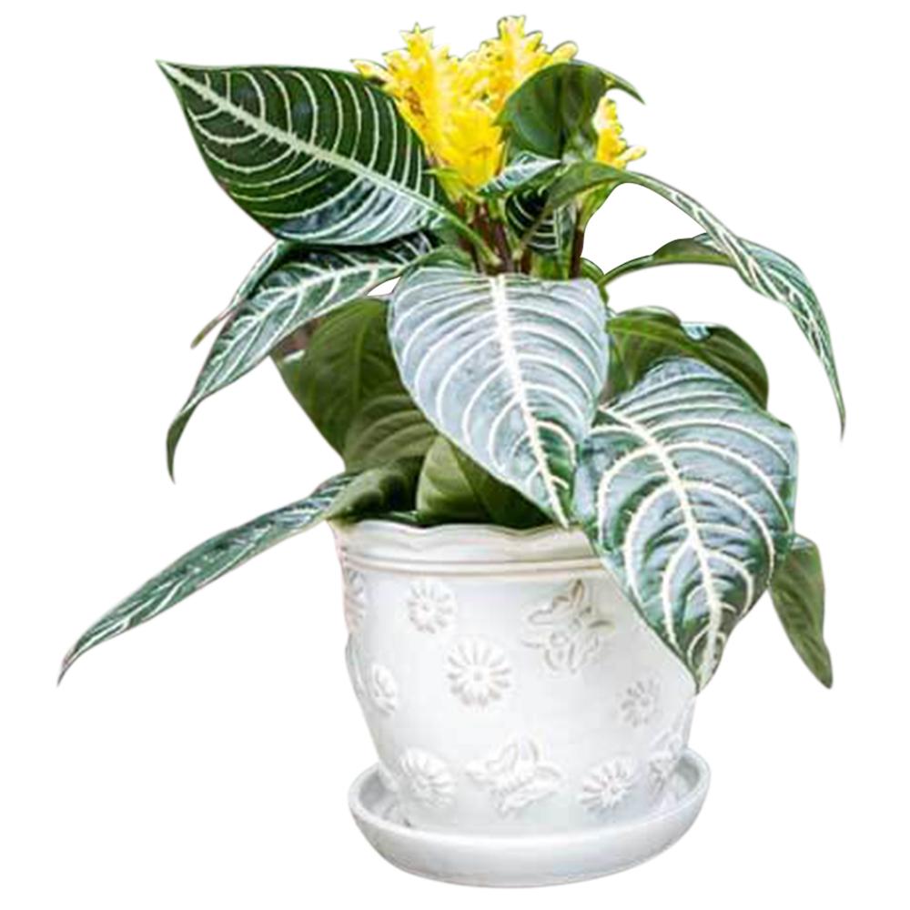 Meadow Planter Jade 4.75in 