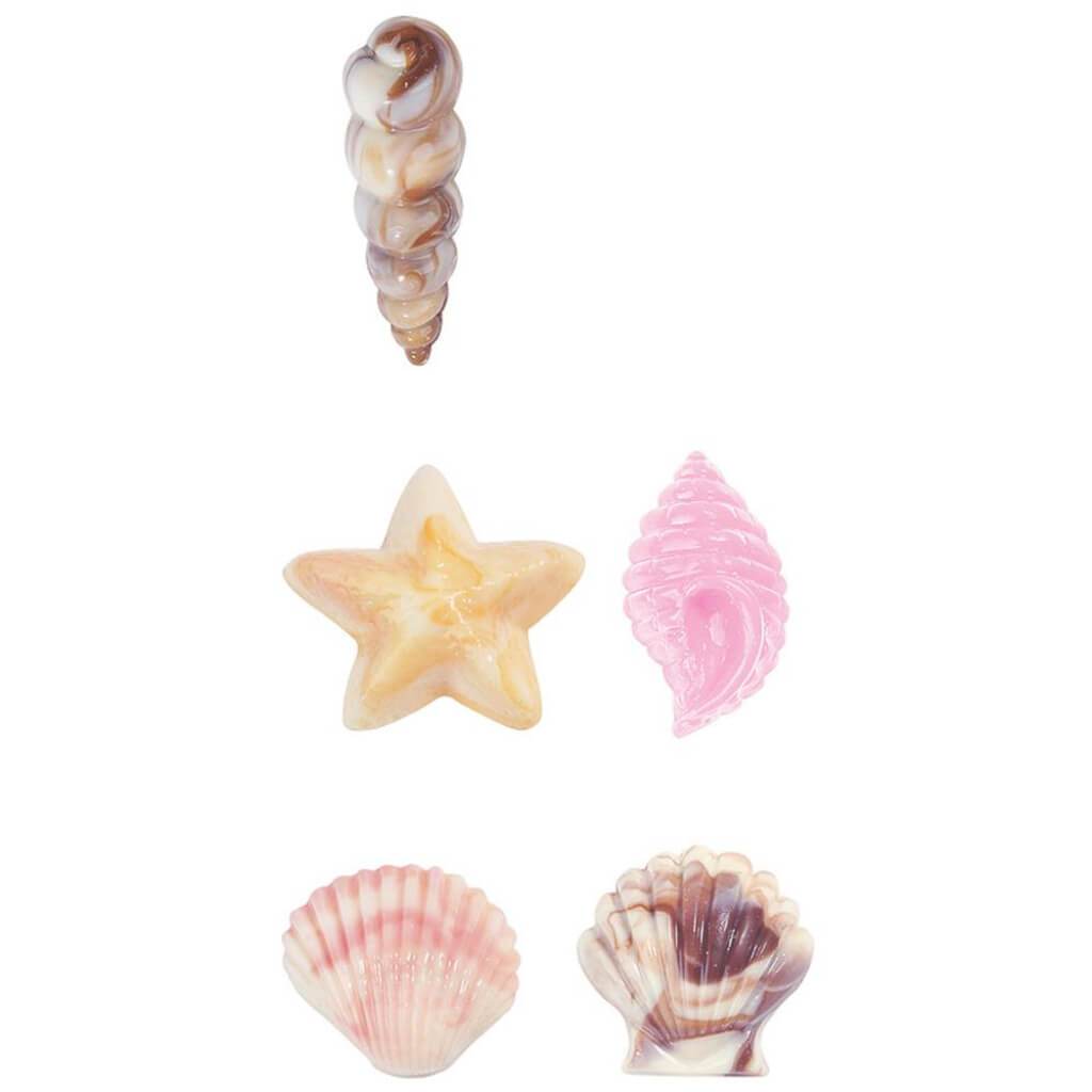 Candy Mold Seashells 11 Cavity (5 Designs)