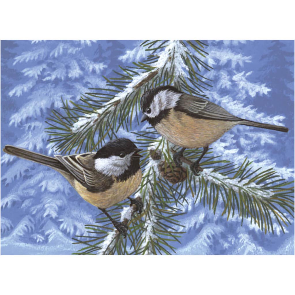 Paint By Numbers Senior Large Pine Birds