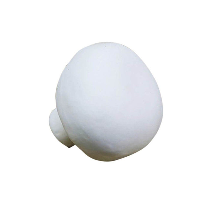 Mushroom, Cream 