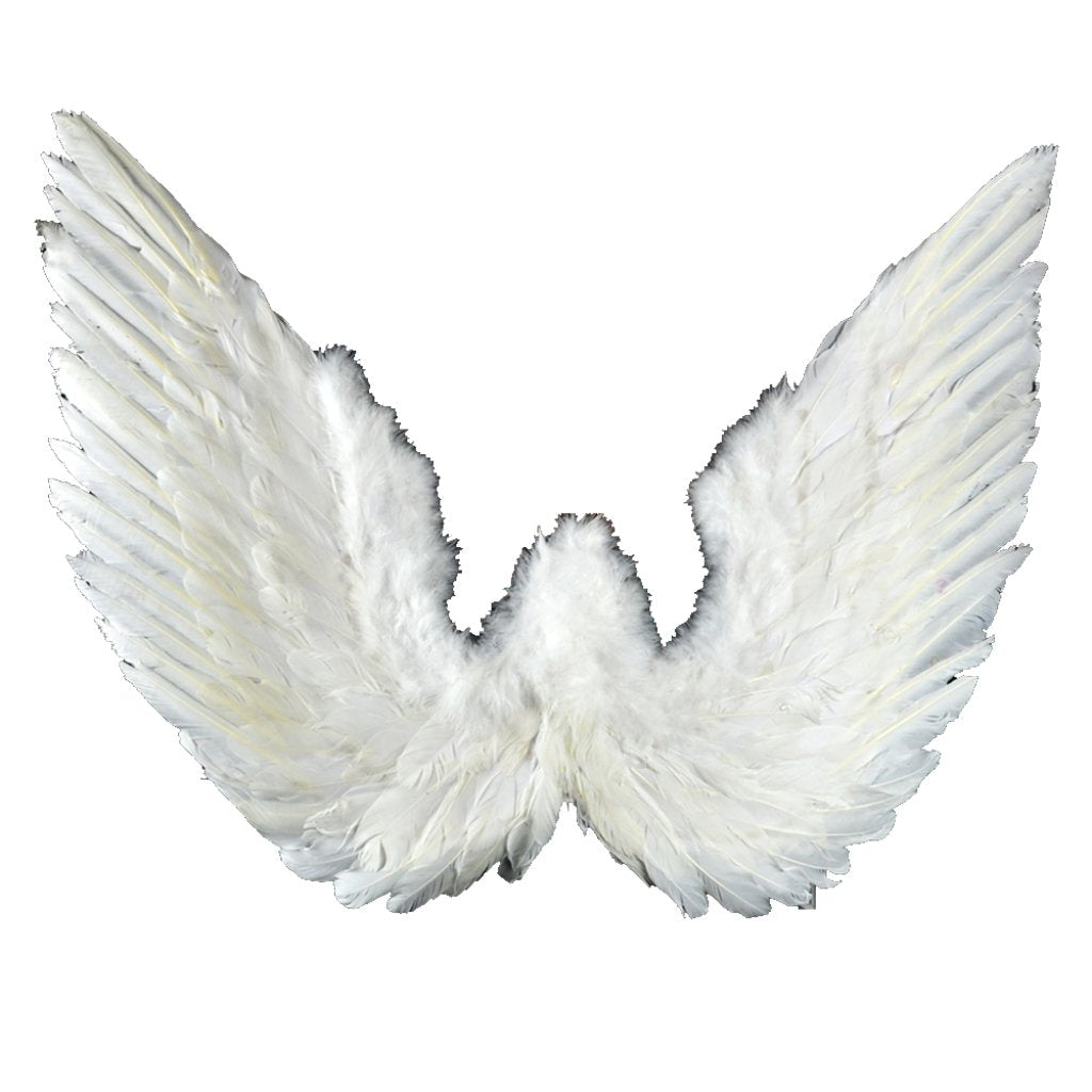 Feather Wing And Halo Set 35X28In White 