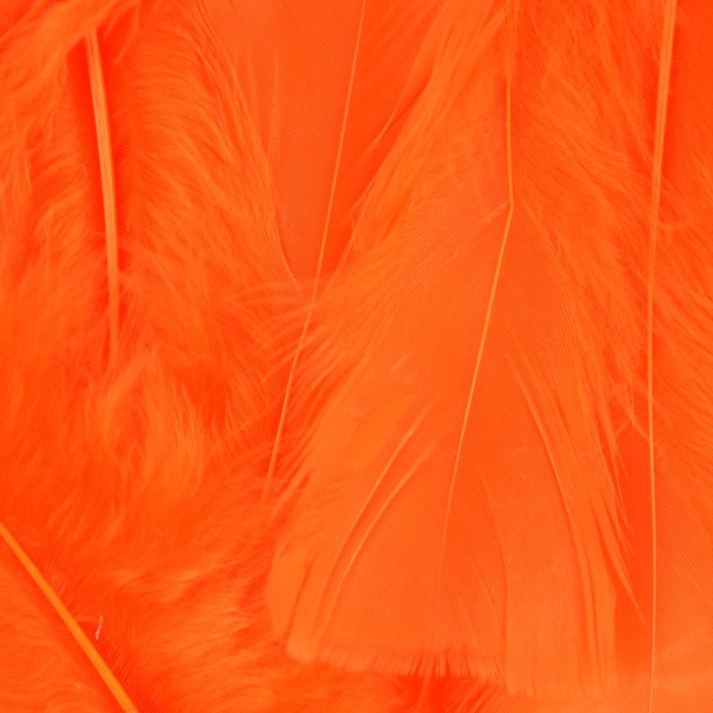 Turkey Flat Feathers 14 Gm 4-6in Orange 