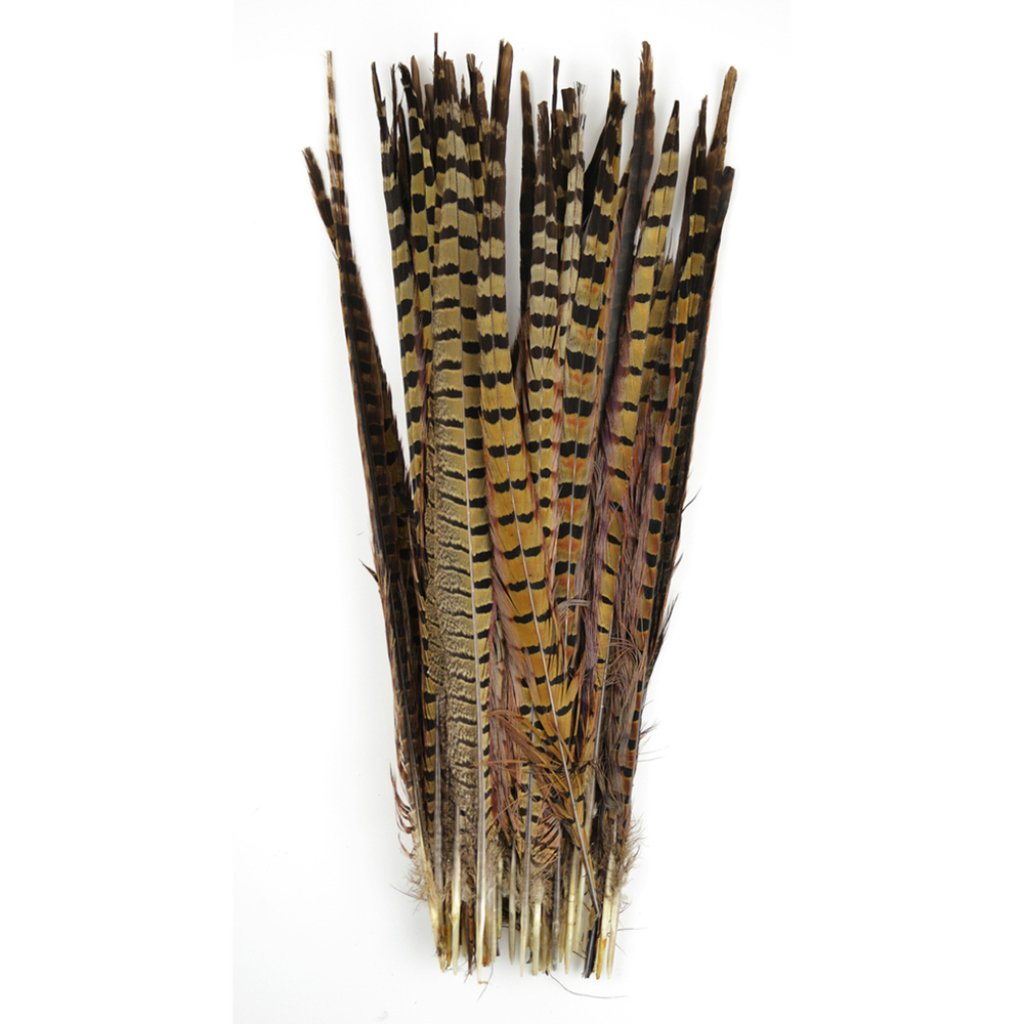 Ringneck Pheasant Feathers 16-18in, 5Pcs 