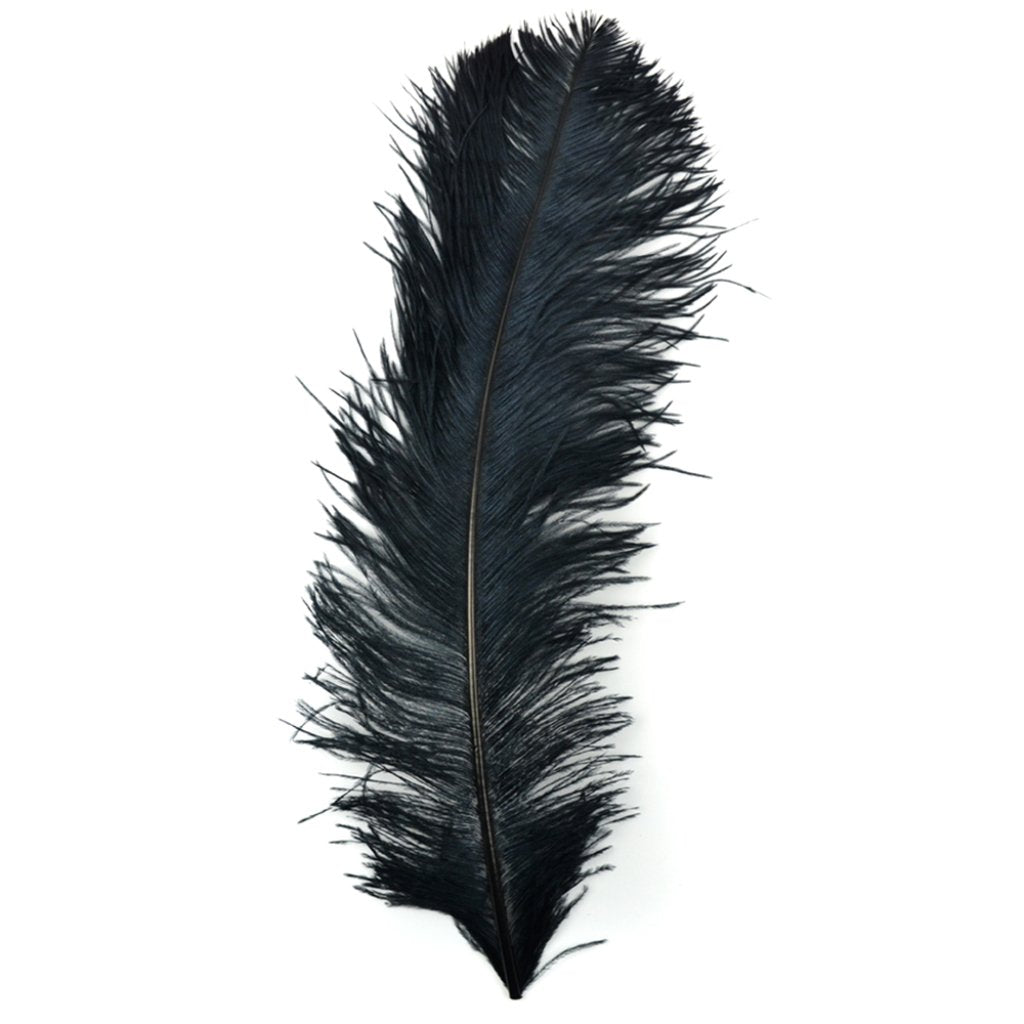 Ostrich Plume 22in Black 