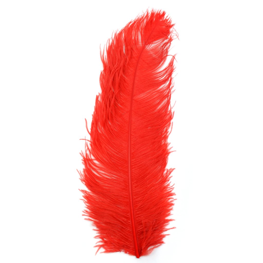 Ostrich Plume 22in Red 