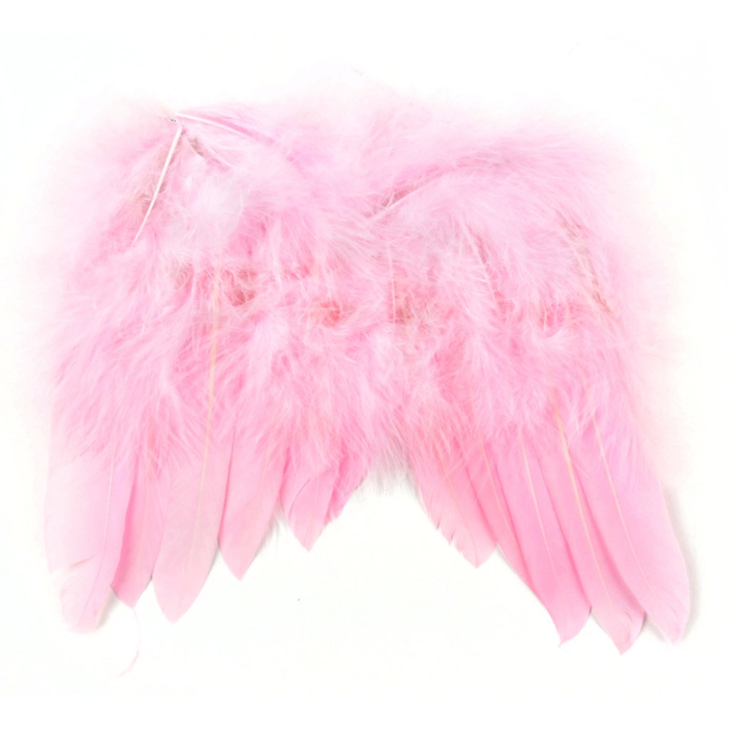 Mini Feather Wings 7X6In Lt Pink 