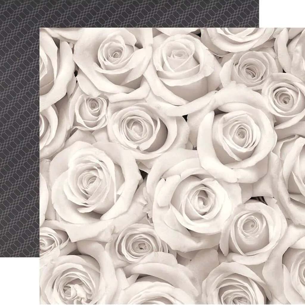 Paper Large Roses 12in x 12in 