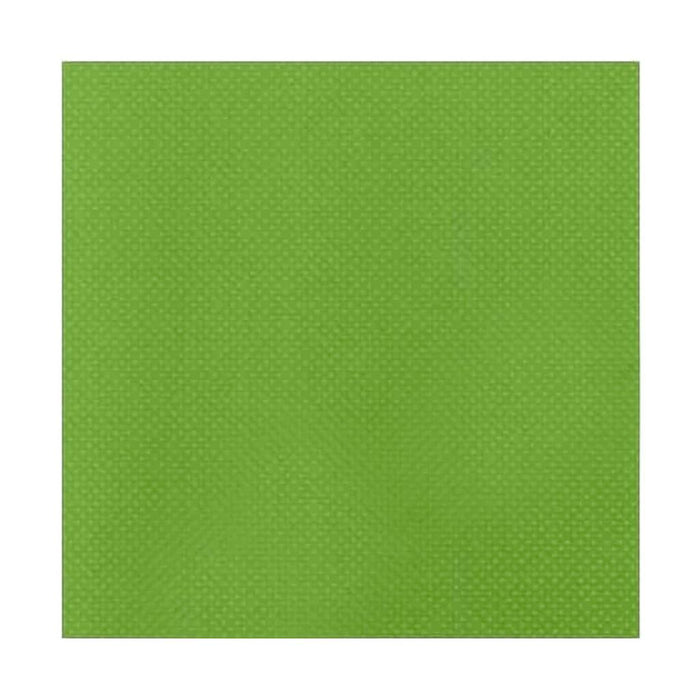 Dotted Swiss Cardstock 12in x 12in