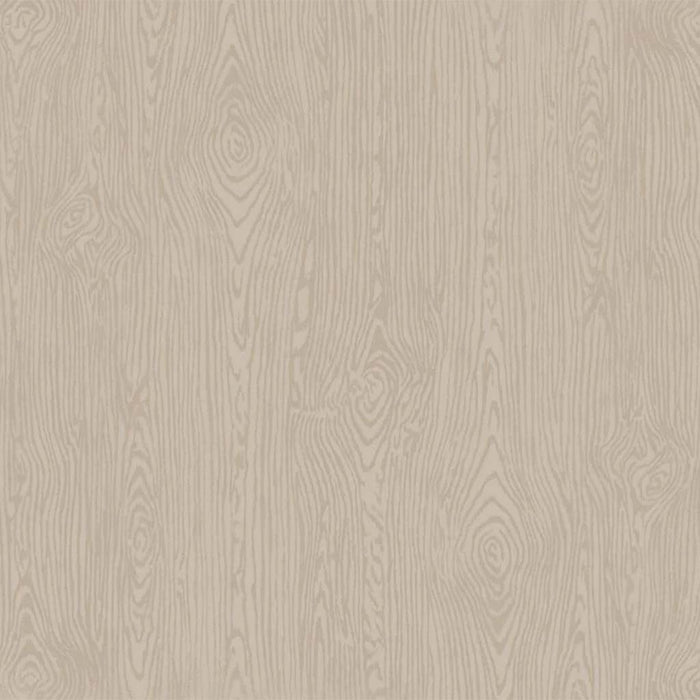 Textured Cardstock  Woodgrain 12in X12in- Nickle
