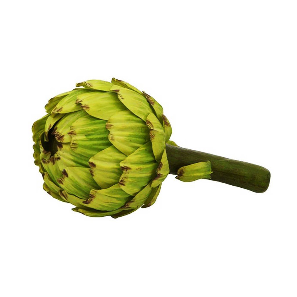 Medium Artichoke, Green 