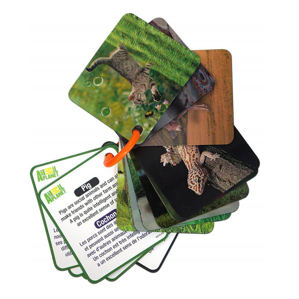 Animal Planet 3D Flash Cards Marine Animals 