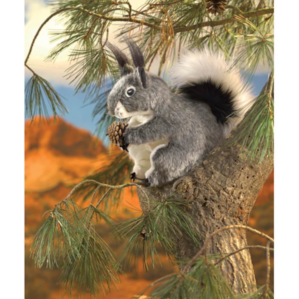 Abert'S Squirrel 
