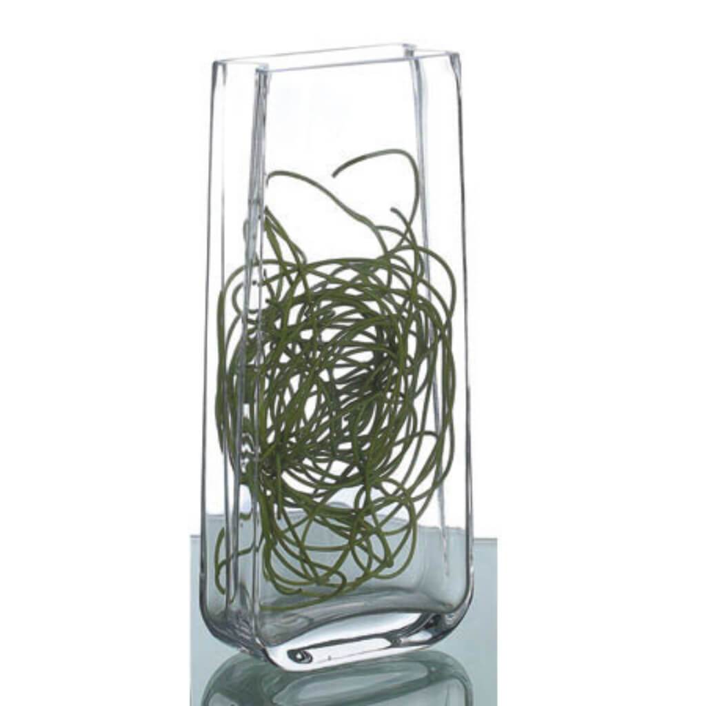 Clear Vase L:5.5" W:2.5" H:12" 