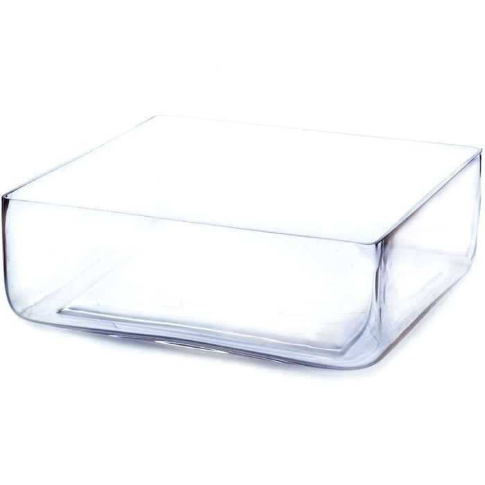 Clear Block Glass Vase 12" x 4" 