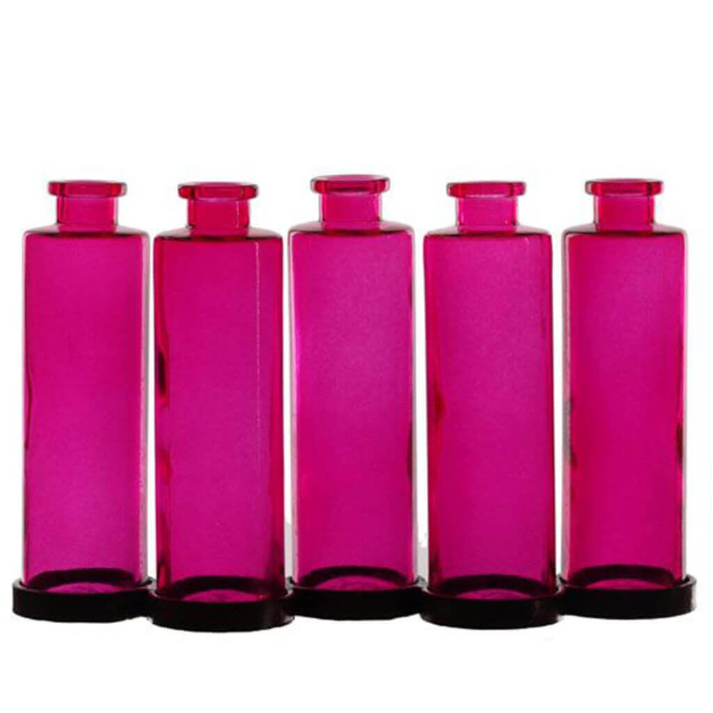 5 Cylindra Glass Bottles Fuschia with Metal Stand