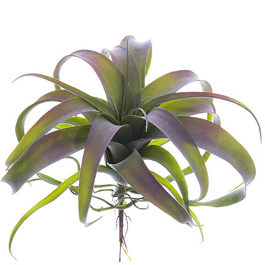 TILLANDSIA PICK 10.5in GR/GY 