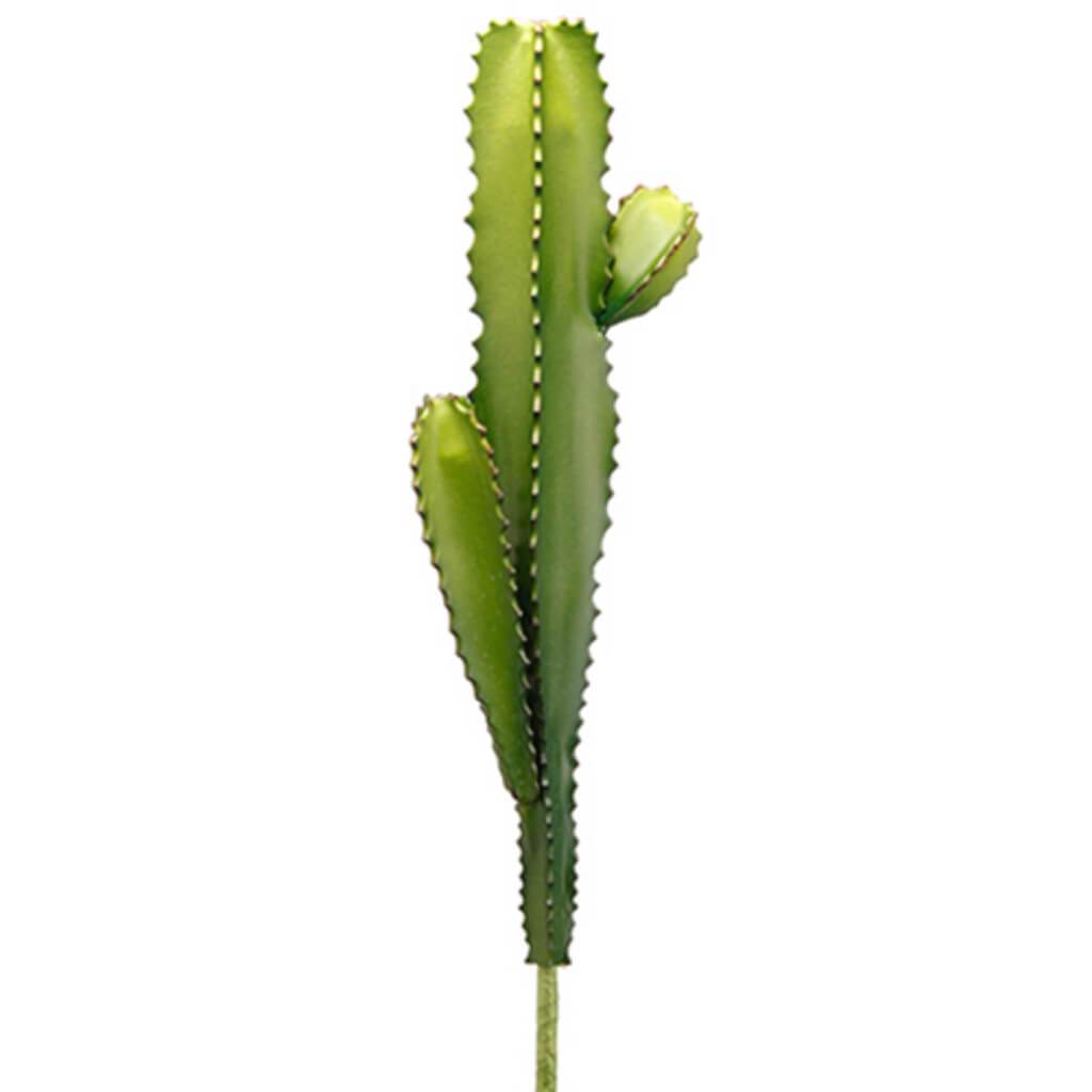 CACTUS SPRAY 22&quot; GR 