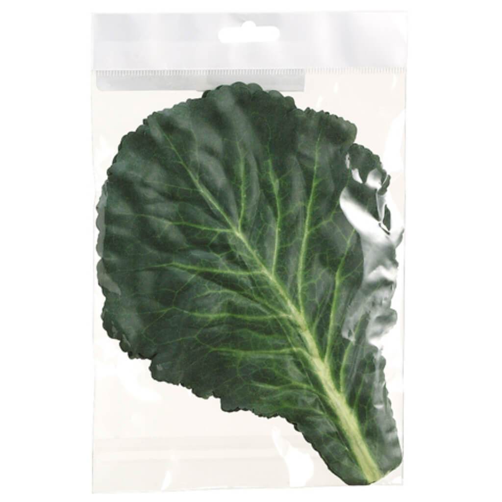 Cabbage Leaf 11&quot; Green Cream 