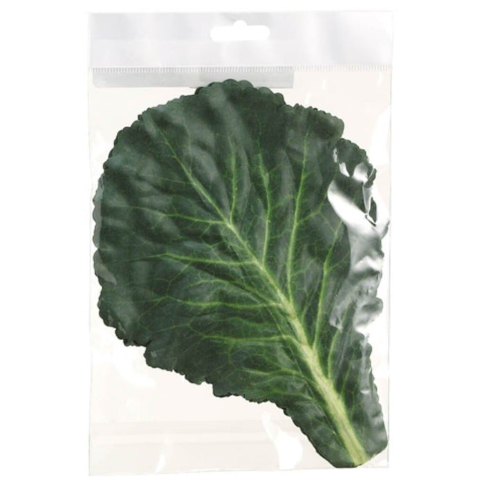 Cabbage Leaf 11" Green Cream 