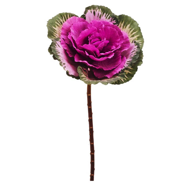 CABBAGE SPRAY 19" GR/PU 
