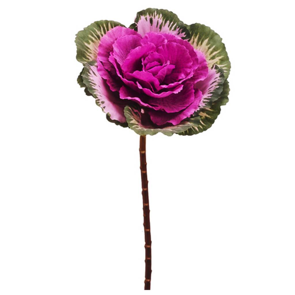 CABBAGE SPRAY 19" GR/PU 