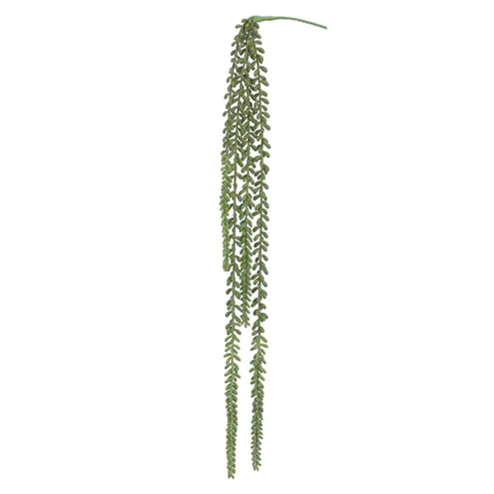 Soft Touch Nertera Berry Hanging Pick Green 41in