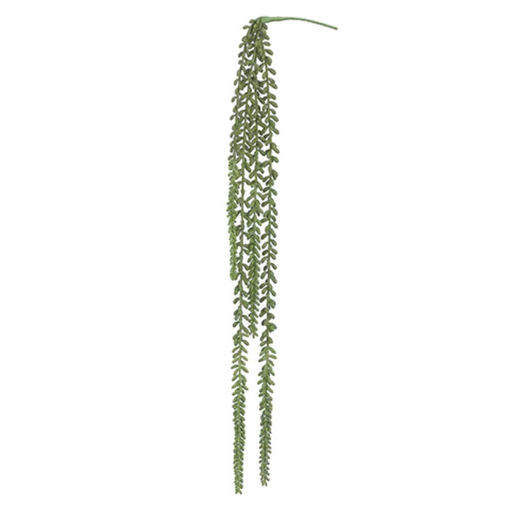 Soft Touch Nertera Berry Hanging Pick Green 41in