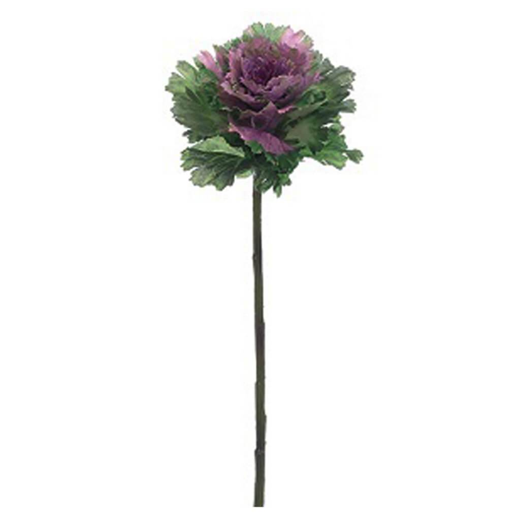 CABBAGE SPRAY 18.5" GR/BB 