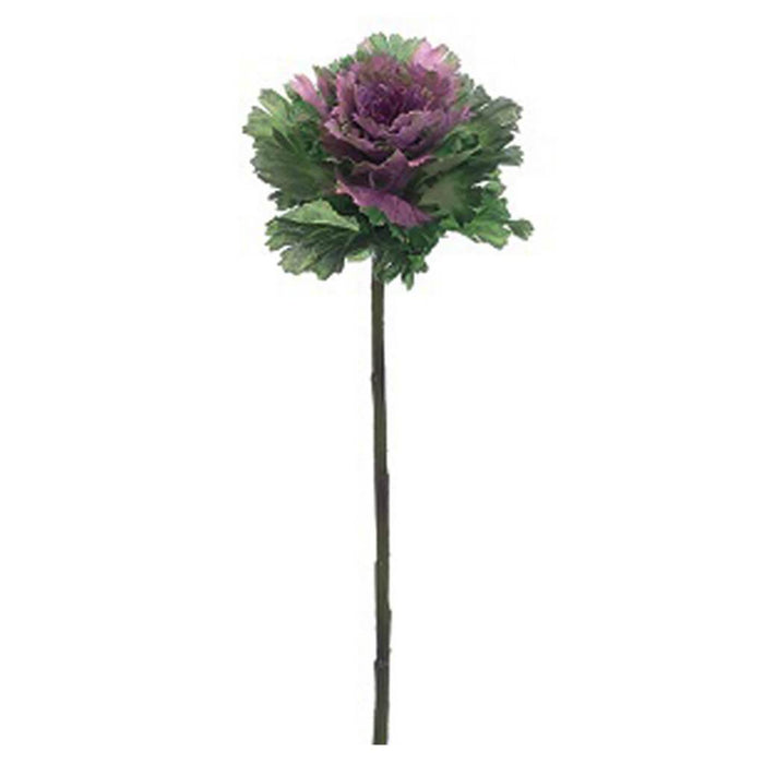 CABBAGE SPRAY 18.5" GR/BB 