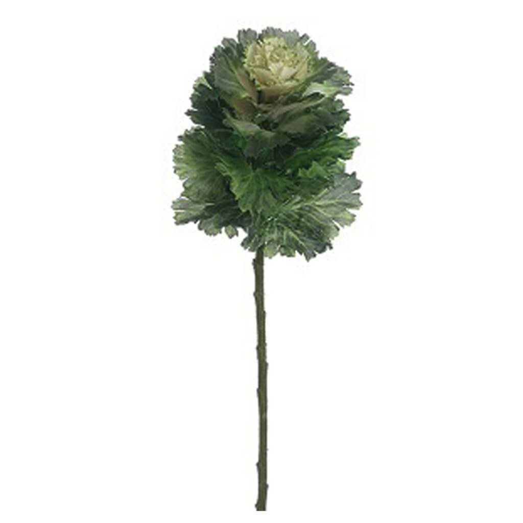 Cabbage Spray 24" Green Cream 