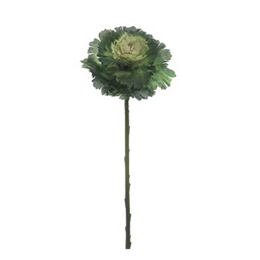 CABBAGE SPRAY 18.5" GR/CR 