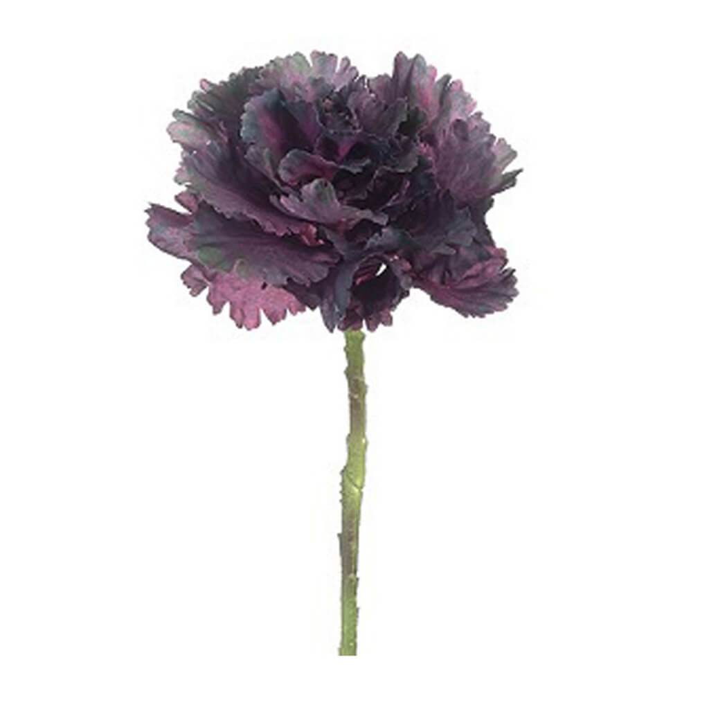 CABBAGE SPRAY 14" EP 