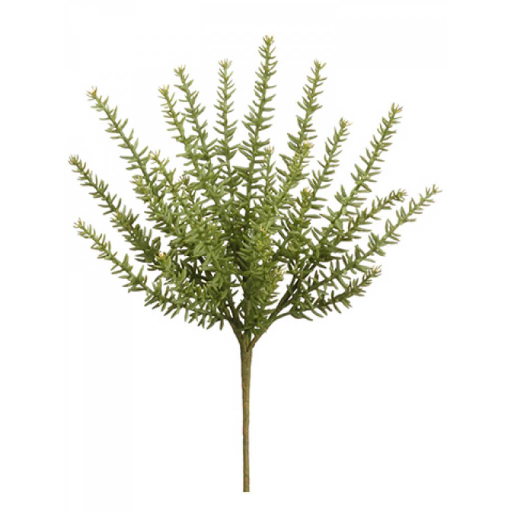 SEDUM BUSH 34" GREEN 